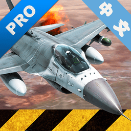 模拟空战专业中文修改版 Logo